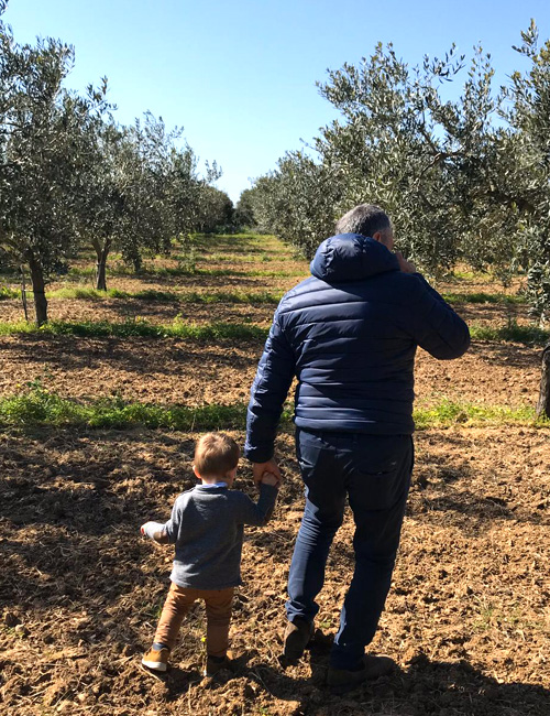 Azienda agricola Feudo Seggio - olio extravergine di oliva DOP valle del Belìce